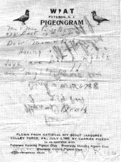 Pigeongram