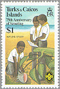 Turks & Caicos Islands 1982 #515
