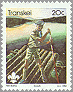 Transkei 1982 #95