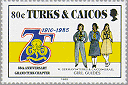 Turks & Caicos 1985 #708
