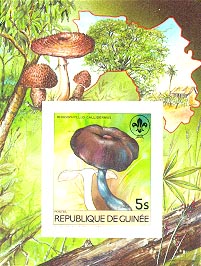 Guinea 1985 #924