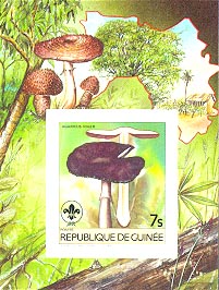 Guinea 1985 #924