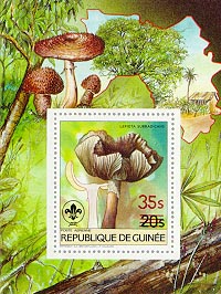Guinea 1985
