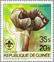 Guinea 1985 #966