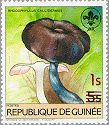 Guinea 1985