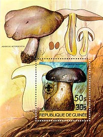 Guinea 1985 #968
