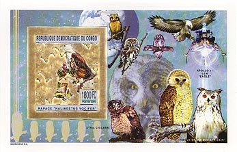 Congo Owl Gold Foil Imperf