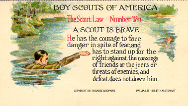 A Scout is Brave