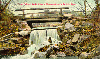 Water Fall and Rustic Bridge